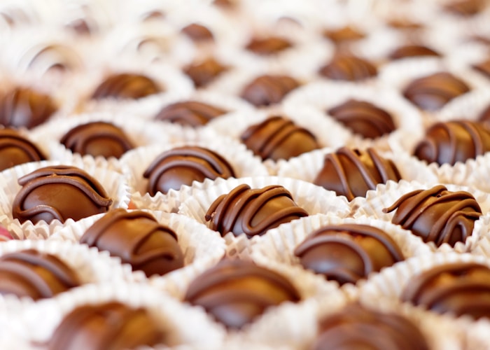 Tray of chocolate creations