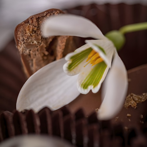 Chocolate creation 2