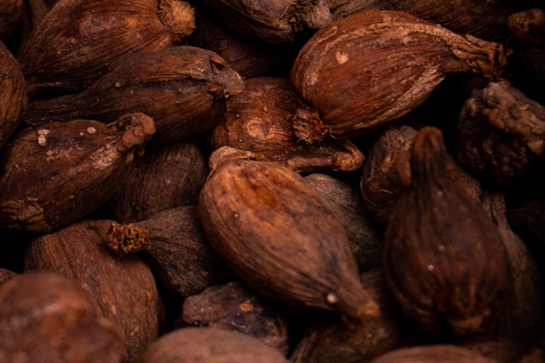 Cacao beans selection